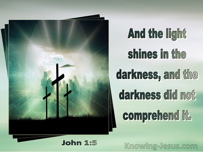 John 1:5 The Light Shines In The Darkness And The Darkness Did Not Comprehent It (sage)
